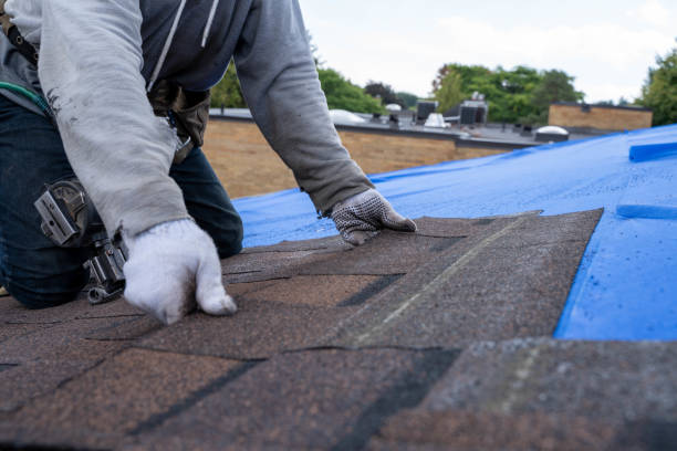 Quick and Trustworthy Emergency Roof Repair Services in Ardmore, TN